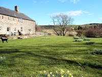 Scotchcoulthard Farm and Self Catering Holiday Cottages 779155 Image 0
