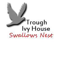 Trough Ivy House 789937 Image 0