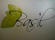 Basil 783533 Image 0