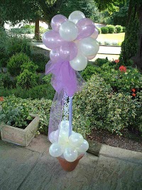 Choice Balloons and Cakes 781484 Image 0