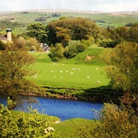 Lune Valley Holiday Cottages 782586 Image 0